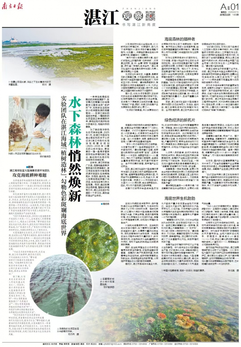 版面截图.jpg